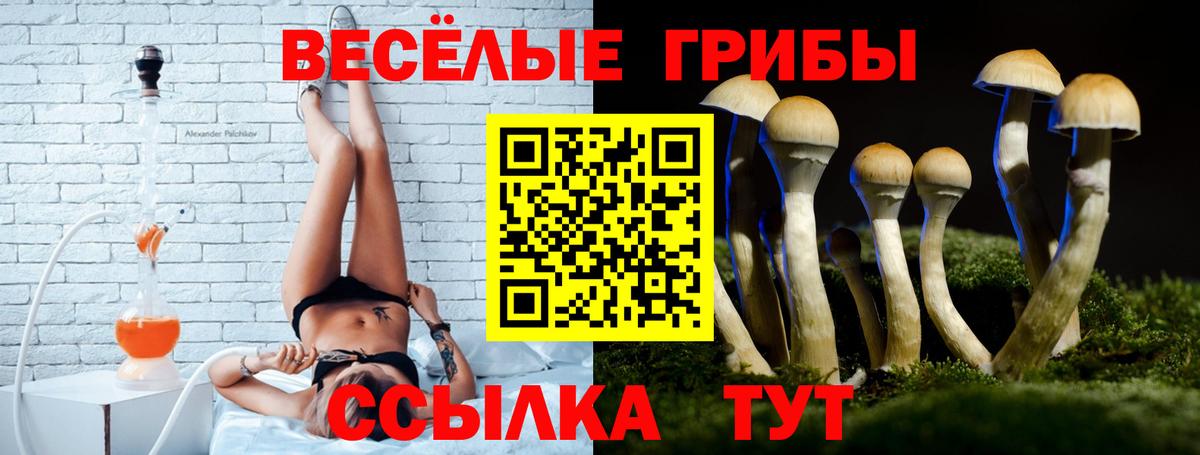 Псилоцибиновые грибы Psilocybe  Вход с VPN  Туймазы  Псилоцибиновые грибы ЛСД 